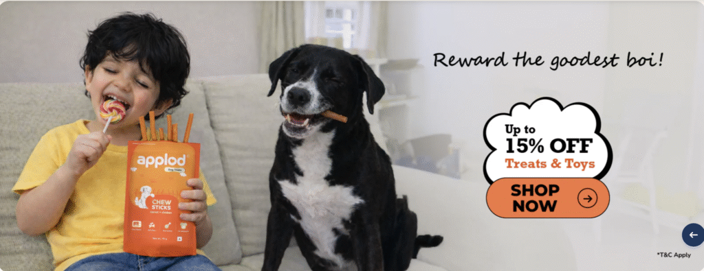 pet accessories and toys